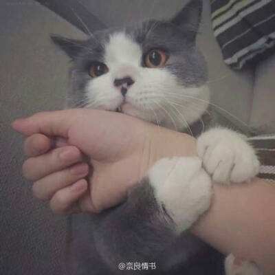 万博manbetx客户端