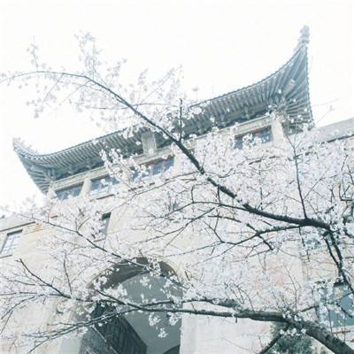 AG九游会下载手机版