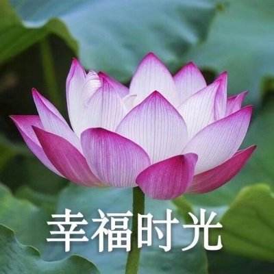 kaiyun电竞入口
