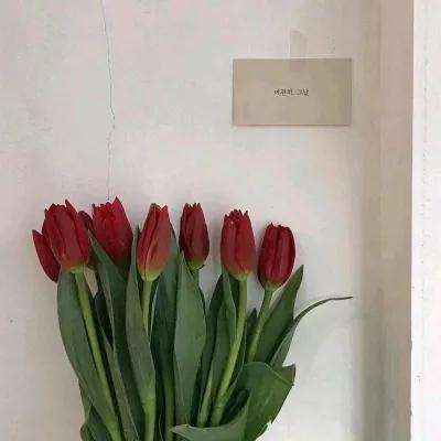 江南体育官方网址