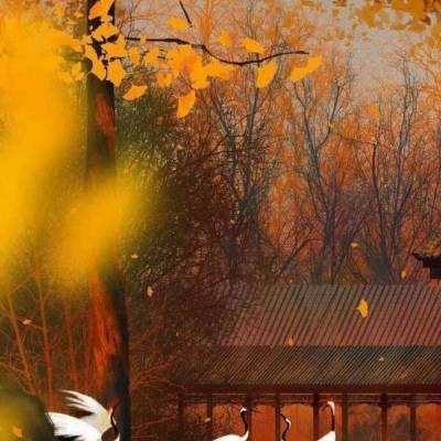 亚虎娱乐手机app下载