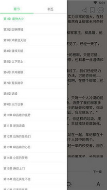 若兰阅读